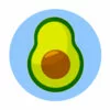 Цветной пример раскраски авокадо разрез