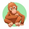 Цветной пример раскраски малыш шимпанзе обезьянка