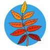 Цветной пример раскраски листья рябины веточка