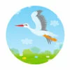 Цветной пример раскраски аист перелетная птица в полете