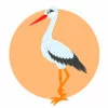 Цветной пример раскраски птица белый аист