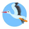 Цветной пример раскраски аист перелетная птица