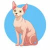 Цветной пример раскраски кот сфинкс