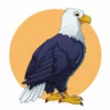 Цветной пример раскраски большая птица орел