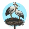 Цветной пример раскраски два аиста птицы