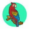 Цветной пример раскраски большой попугай ара