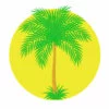 Цветной пример раскраски красивая пальма