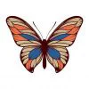 Цветной пример раскраски интересная бабочка