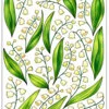 пример раскраски ландыши орнамент