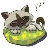Цветной пример раскраски котенок спит
