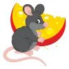 Цветной пример раскраски милая мышка