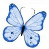 Цветной пример раскраски красивая бабочка