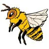 Цветной пример раскраски пчела как настоящая