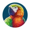 Цветной пример раскраски антистресс-попугай