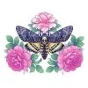 Цветной пример раскраски бабочка в розах
