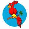 Цветной пример раскраски большой попугай на ветке