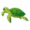 Цветной пример раскраски черепаха умеет плавать