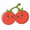 Цветной пример раскраски две помидоры на ветке