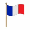 Цветной пример раскраски флаг франции