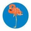 Цветной пример раскраски фламинго спит