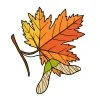 Цветной пример раскраски кленовый лист осенний