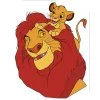 Цветной пример раскраски король лев симба на отце