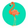 Цветной пример раскраски красивая птица фламинго