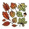 Цветной пример раскраски листья сбор