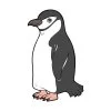 Цветной пример раскраски пингвин забавный