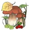 Цветной пример раскраски подосиновик гриб