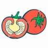 Цветной пример раскраски помидор спелый