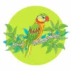 Цветной пример раскраски попугай ара на ветке