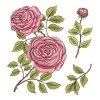 Цветной пример раскраски розы лежат