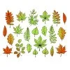Цветной пример раскраски сбор листьев