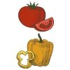 Цветной пример раскраски томат и перец болгарский