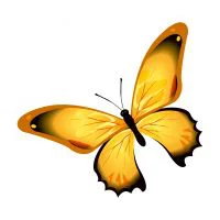 Цветной пример раскраски бабочка с красивыми крыльями