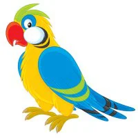 Цветной вариант раскраски яркий попугай