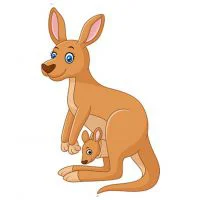 Цветной вариант раскраски мама кенгуру с кенгуренком