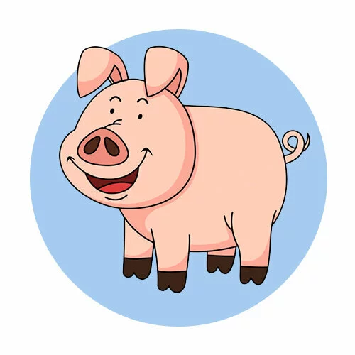 Цветной пример раскраски хрю свинья