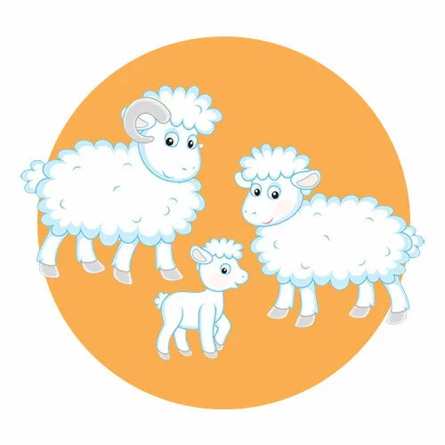 Цветной пример раскраски семья баран, овца и барашек