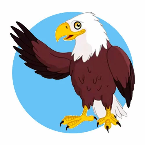 Цветной пример раскраски орел и крыло