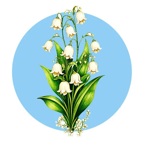 Цветной пример раскраски ландыши цветочки