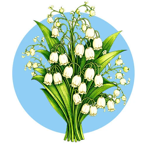 Цветной пример раскраски ландыши букетик