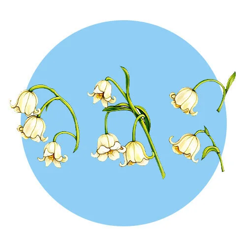 Цветной пример раскраски ландыши малыши