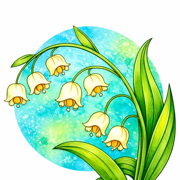 Цветной пример раскраски ландыши миленькие