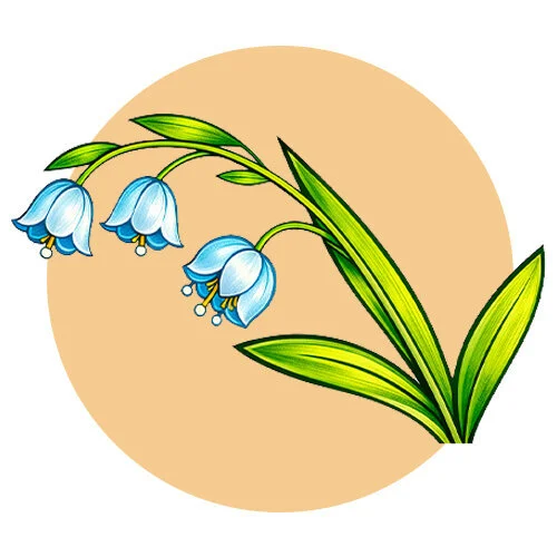 Цветной пример раскраски ландыши весенние цветы