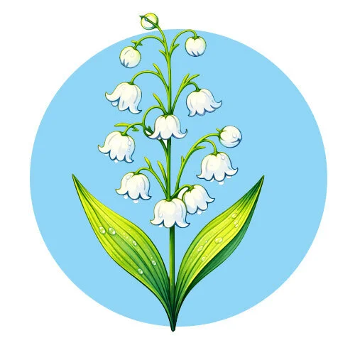 Цветной пример раскраски ландыши красиво цветут