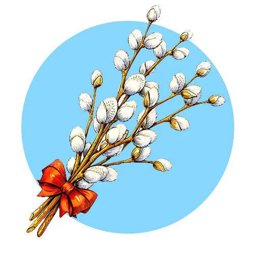 Цветной пример раскраски бантик на вербе