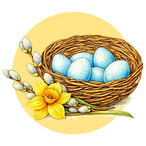 Цветной пример раскраски верба и гнездо