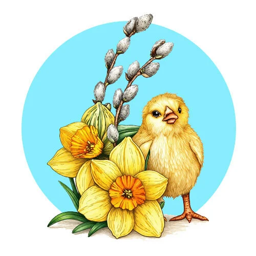 Цветной пример раскраски малыш цыпленок и верба